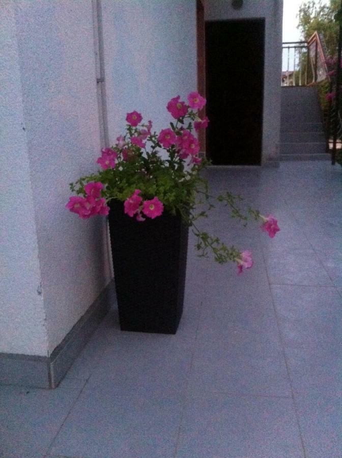 Apartmani Jadranka Vodice Luaran gambar